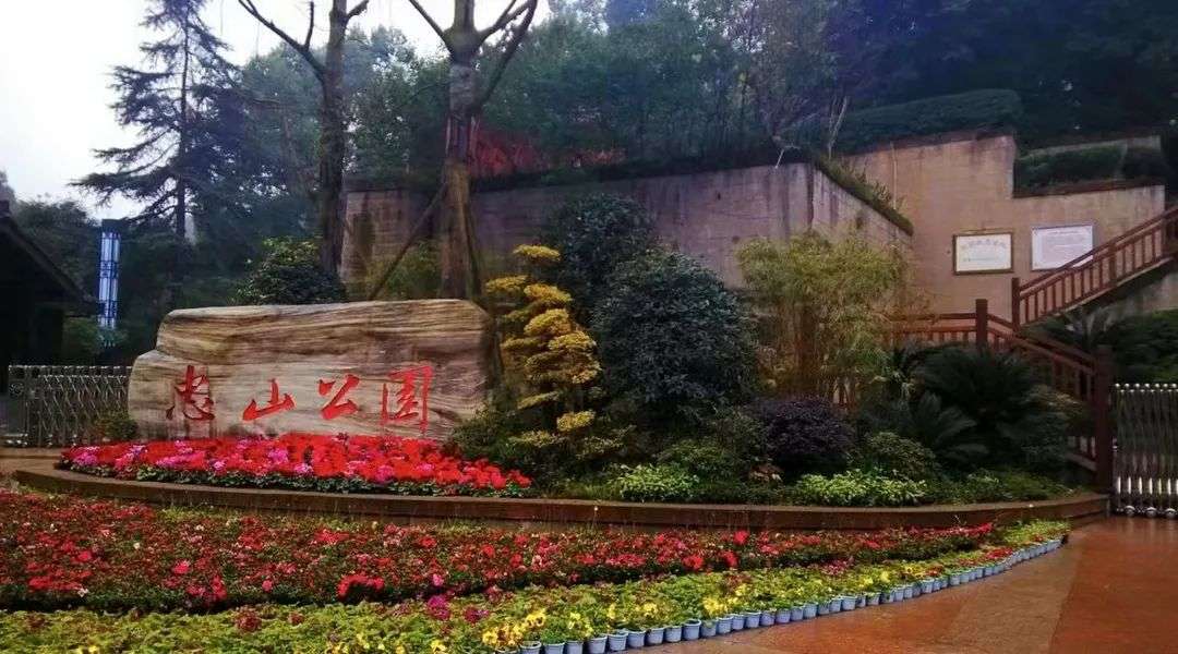 春节去哪玩？泸州公园、景区公交线路指南请查收！-1.jpg