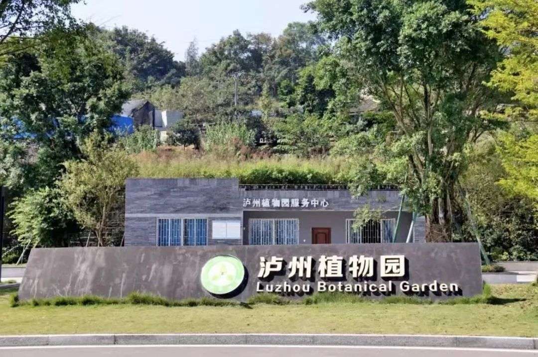 春节去哪玩？泸州公园、景区公交线路指南请查收！-6.jpg