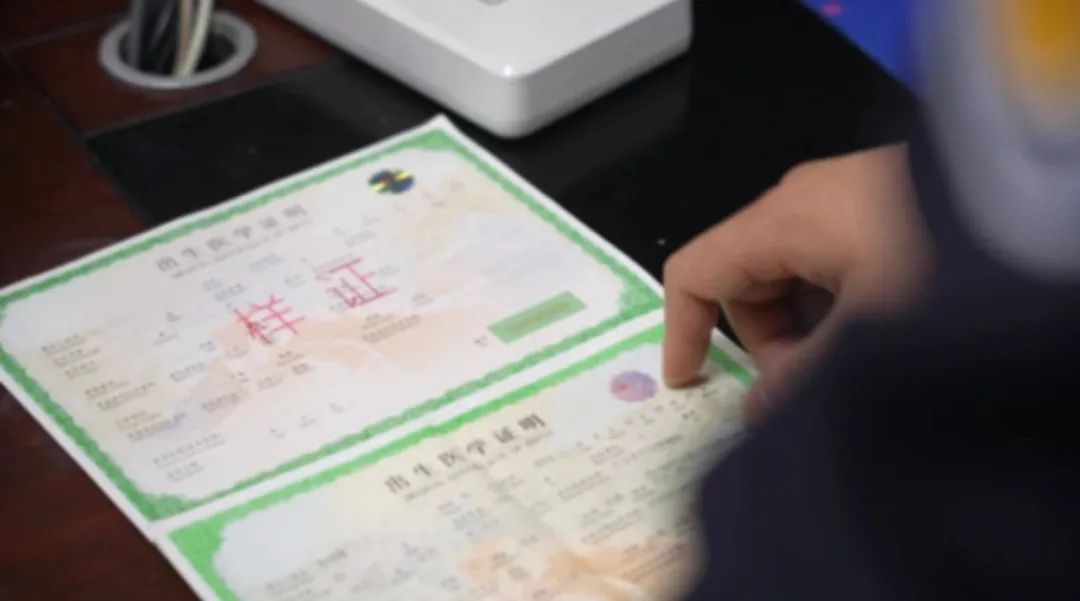 大胆！一对夫妻用假证被泸州警方识破！这事还没完…-5.jpg