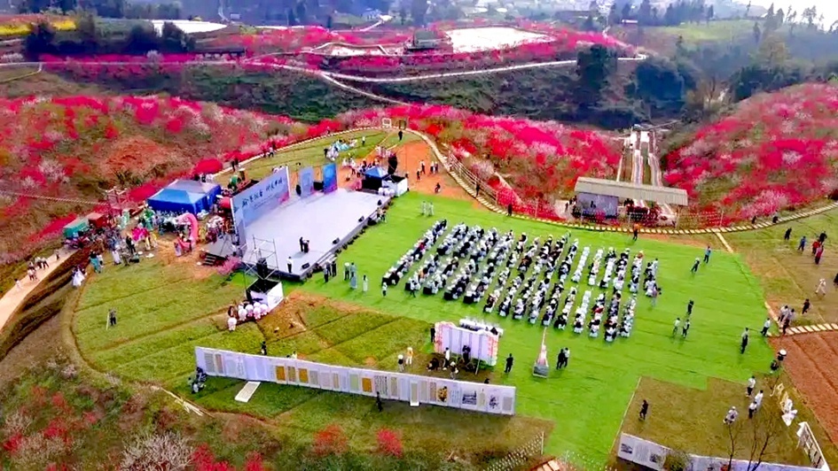 三月赏花攻略丨泸州这里有千亩桃花林，汉服入园免门票-1.jpg