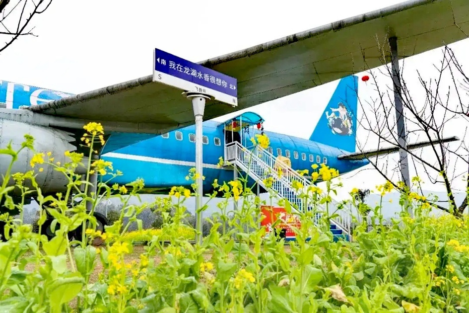 三月赏花攻略丨泸州这里有千亩桃花林，汉服入园免门票-32.jpg