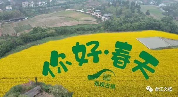 春暖花开！这个周末，在合江邂逅“花花”世界-14.jpg