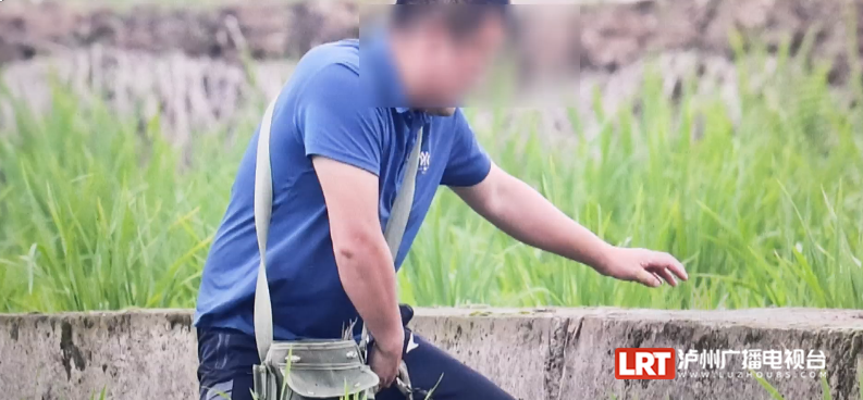 五人被判刑！泸州宣判一起非法猎杀珍贵濒危野生动物彩鹮案-2.png