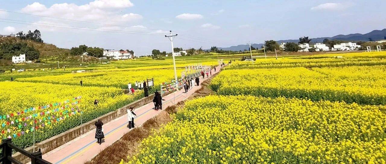 约吗？泸州22条公交线路，带你寻找春天，看美丽花海~-3.jpg