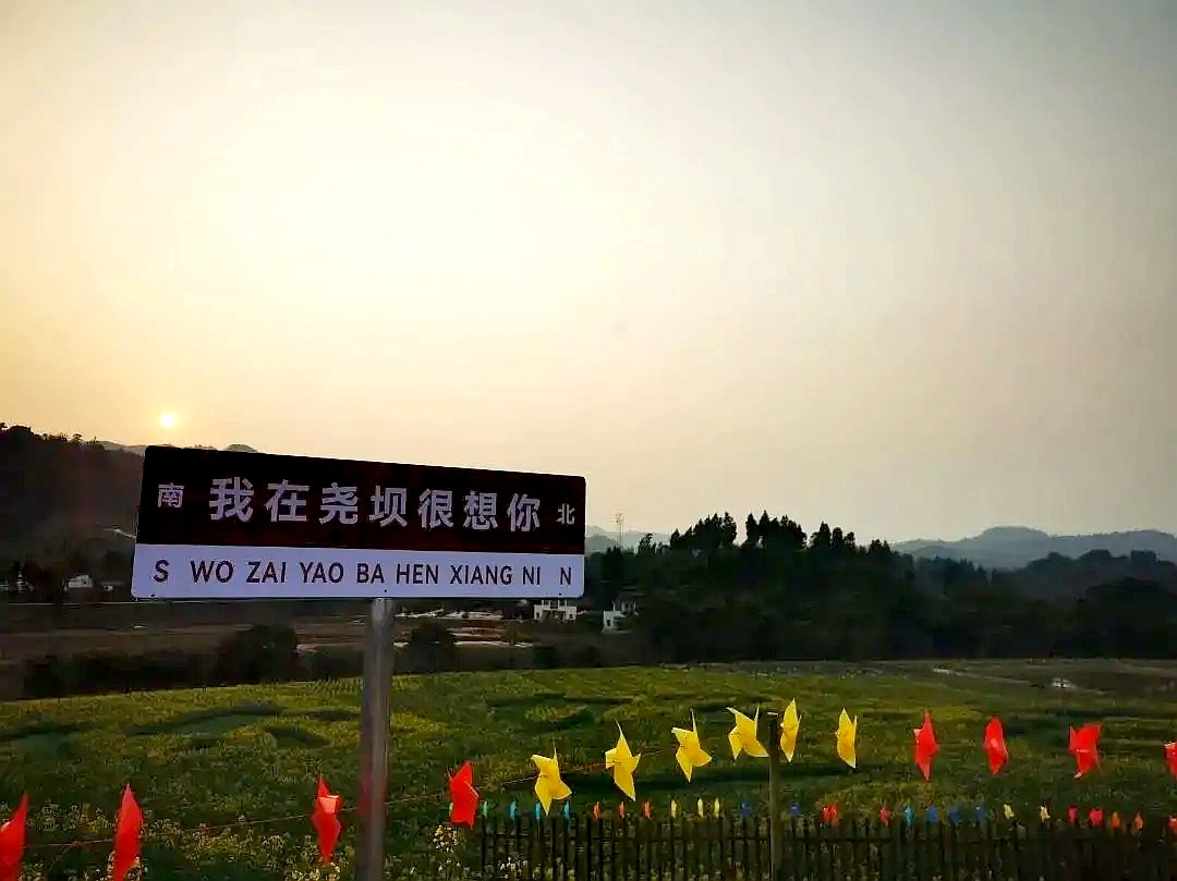 泸州周边的花都开好了，大家选择的赏花去处也不一样，你都去了哪里？-3.jpg
