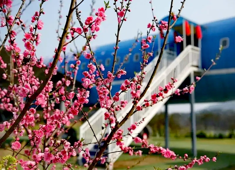 “惠享泸州·幸福三月”丨3月12日「纳溪龙湖水香」桃花节邀请函，请查收！-3.jpg