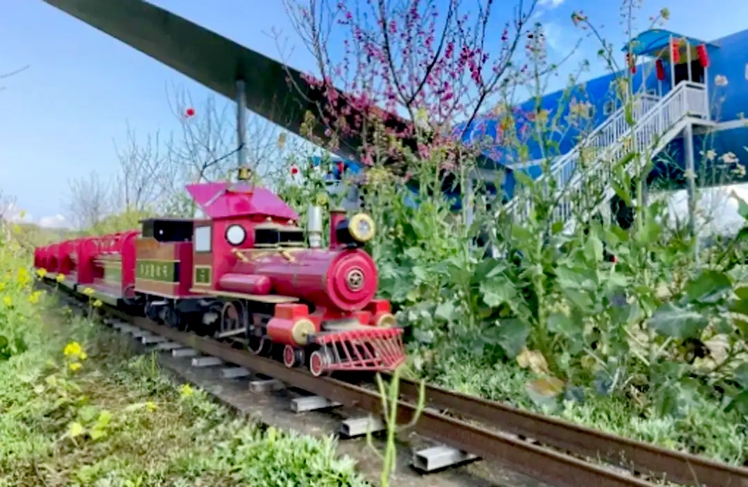 “惠享泸州·幸福三月”丨3月12日「纳溪龙湖水香」桃花节邀请函，请查收！-16.jpg