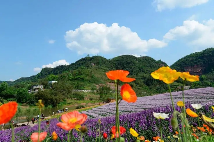 泸州当地好玩的10大景点，你去过几个？（上篇）-22.jpg