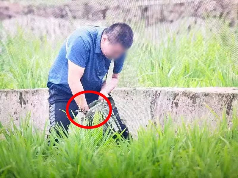 泸州惊现“鸟中活化石”中华秋沙鸭，警方重要发布-6.jpg