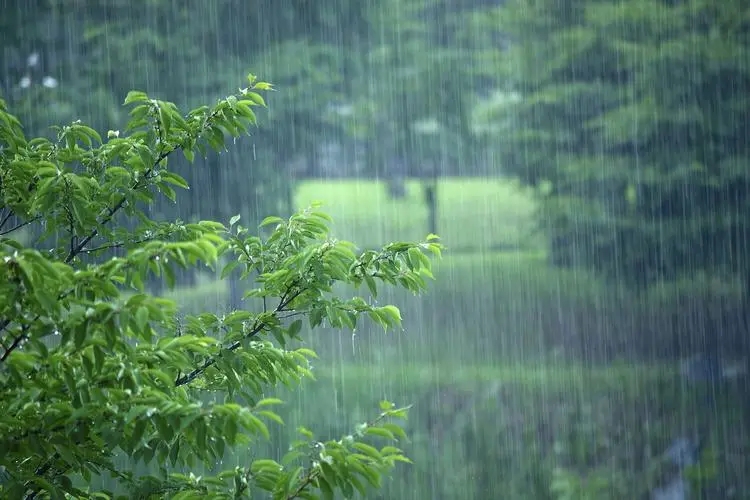 泸州何时迎来新一轮降雨？气象部门：最新天气预报来了！-2.jpg