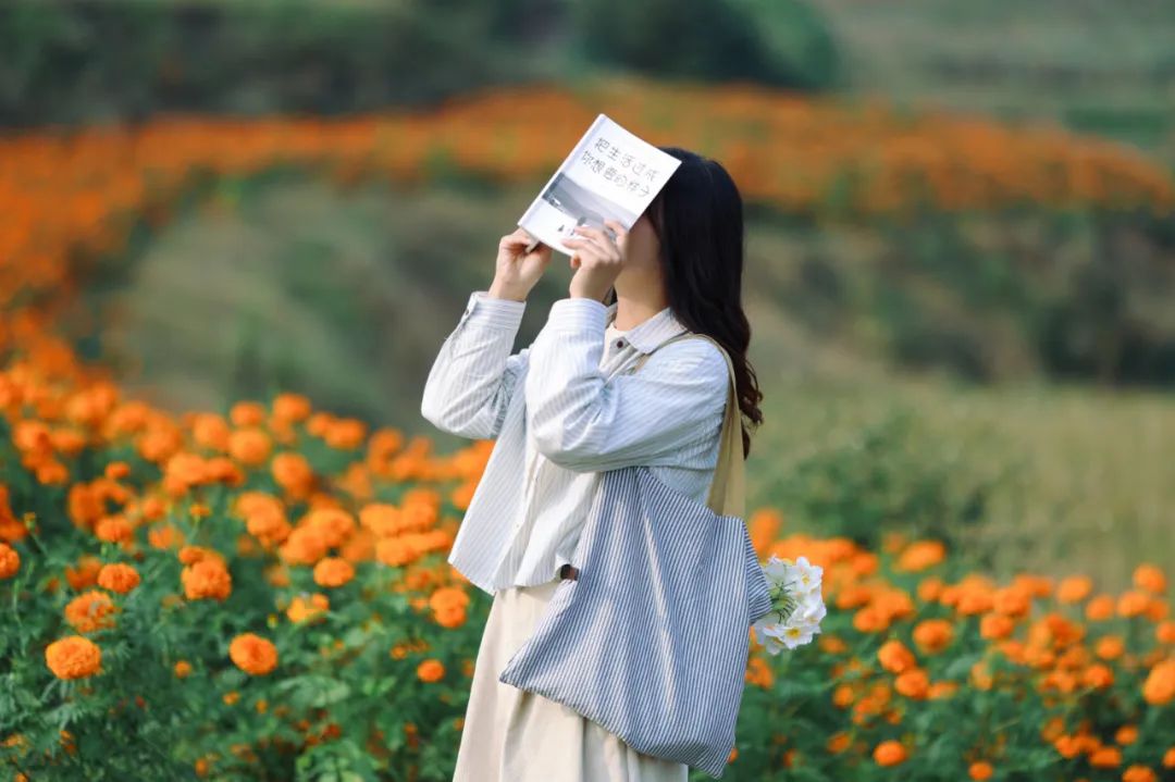值得打卡！泸州这里的万寿菊正值盛花期，不要错过！-12.jpg