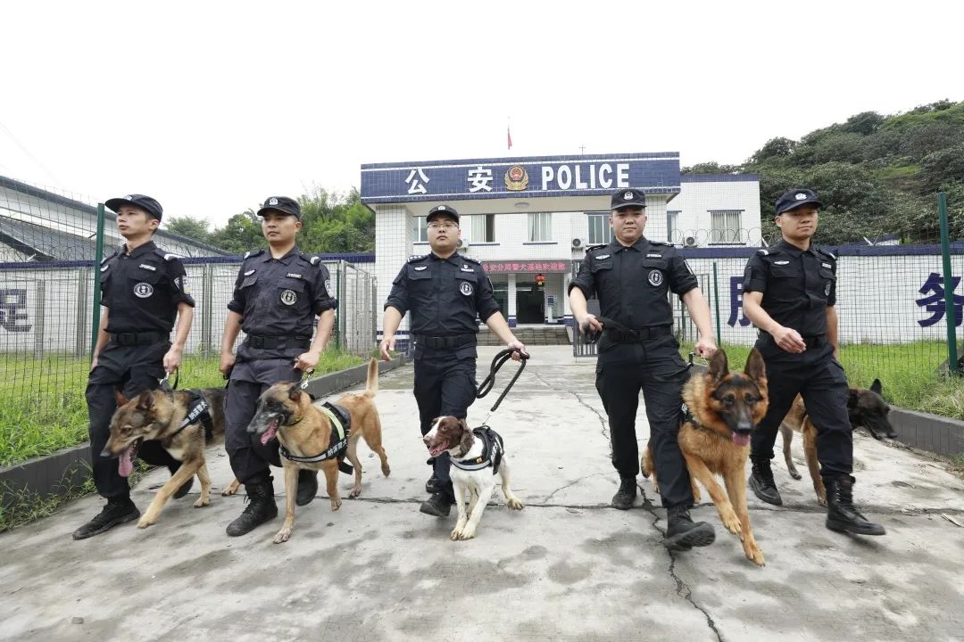 泸州警花姗姗立功！没有姗姗来迟，只有姗姗来“吃”…-1.jpg
