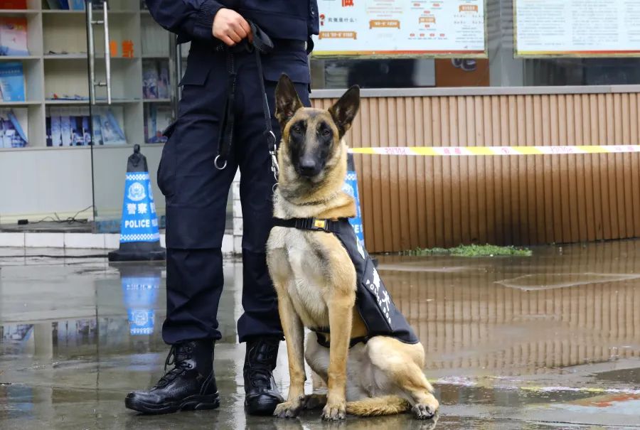 泸州警花姗姗立功！没有姗姗来迟，只有姗姗来“吃”…-10.jpg