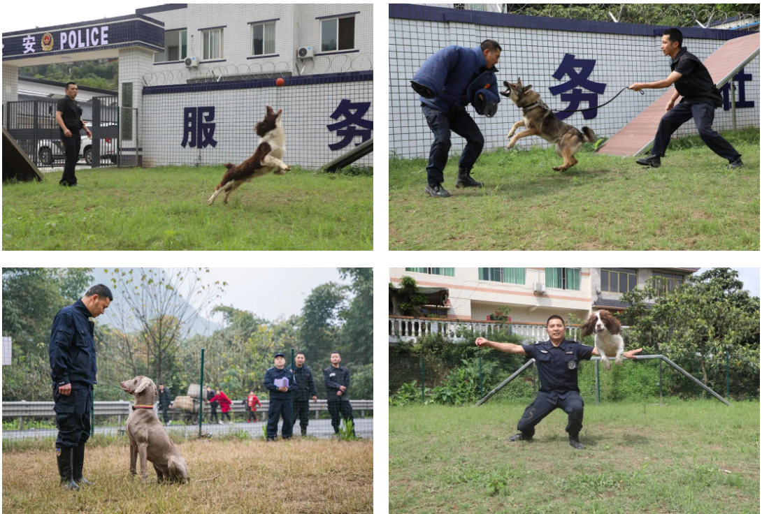 泸州警花姗姗立功！没有姗姗来迟，只有姗姗来“吃”…-14.jpg