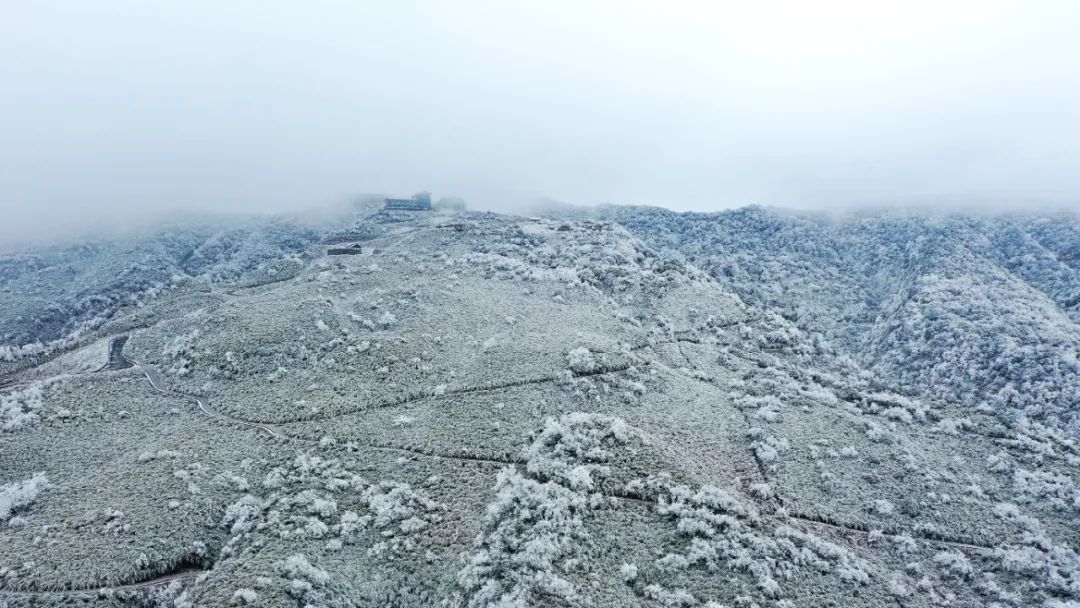 泸州这个地方连下了3天雪！看看这雪下的多大...多美！-1.jpg