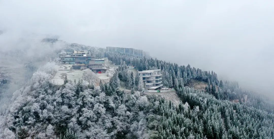 泸州这个地方连下了3天雪！看看这雪下的多大...多美！-2.jpg