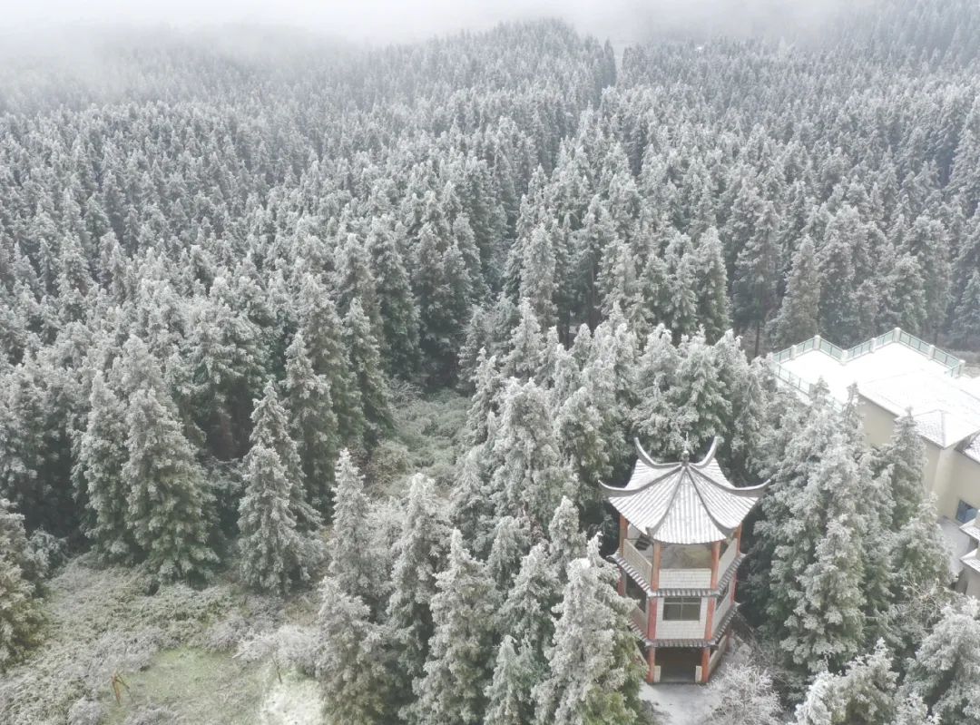 泸州这个地方连下了3天雪！看看这雪下的多大...多美！-5.jpg