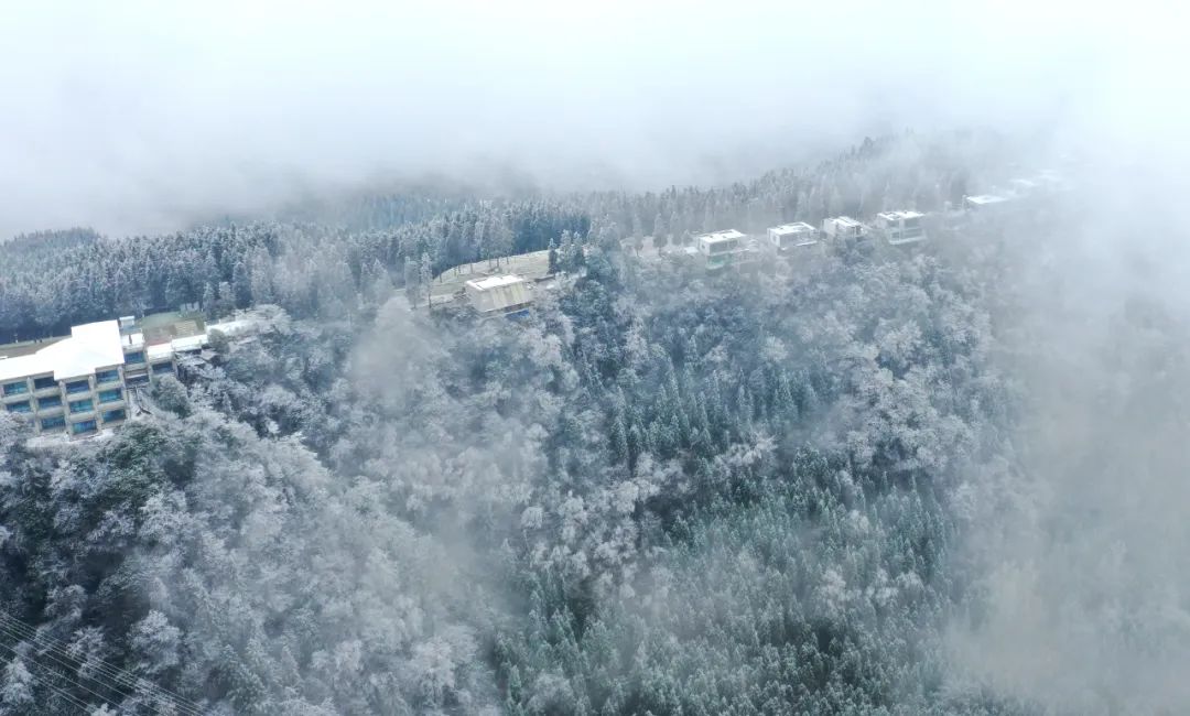 泸州这个地方连下了3天雪！看看这雪下的多大...多美！-4.jpg
