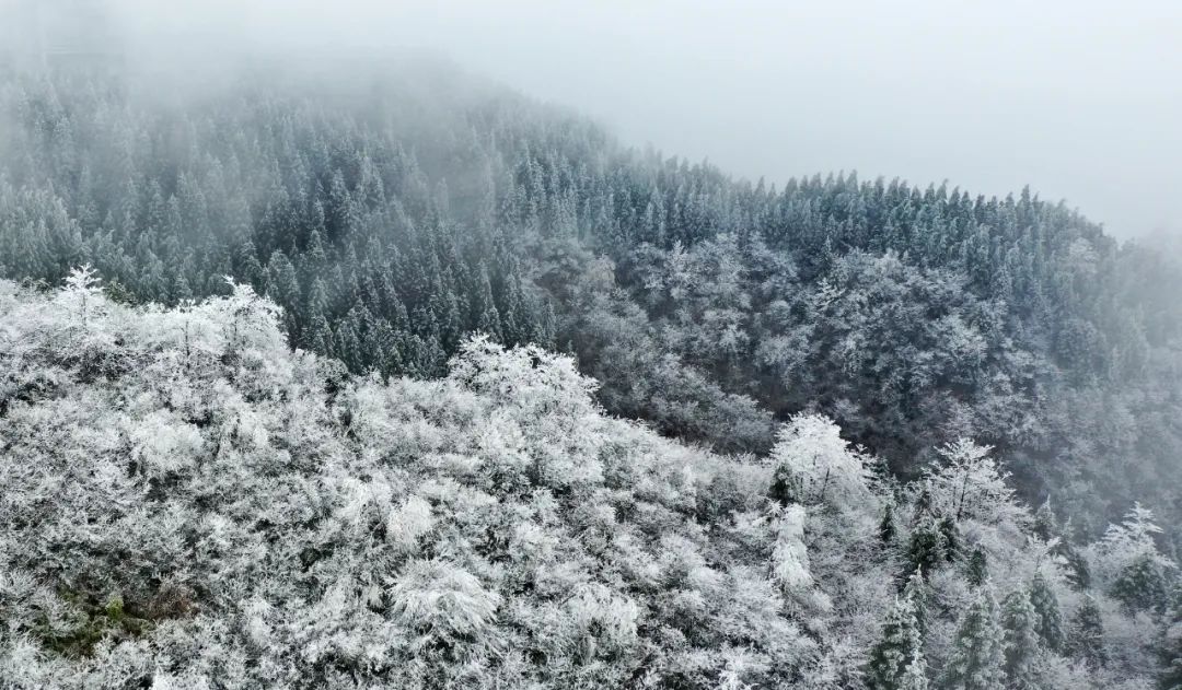 泸州这个地方连下了3天雪！看看这雪下的多大...多美！-3.jpg