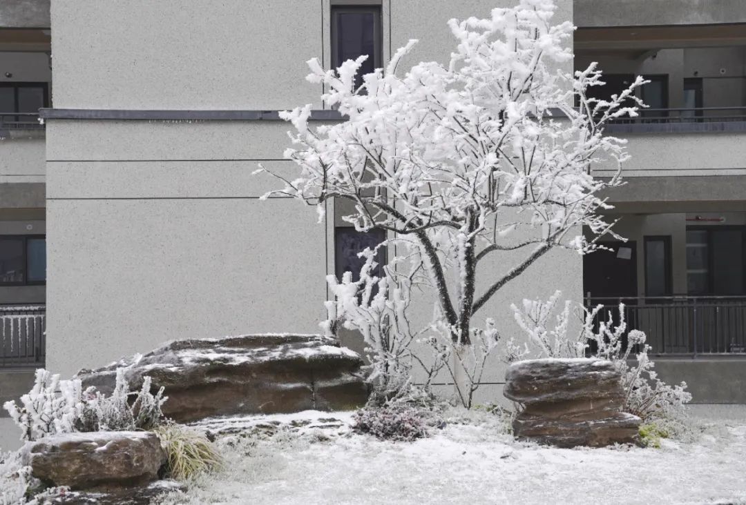 泸州这个地方连下了3天雪！看看这雪下的多大...多美！-9.jpg