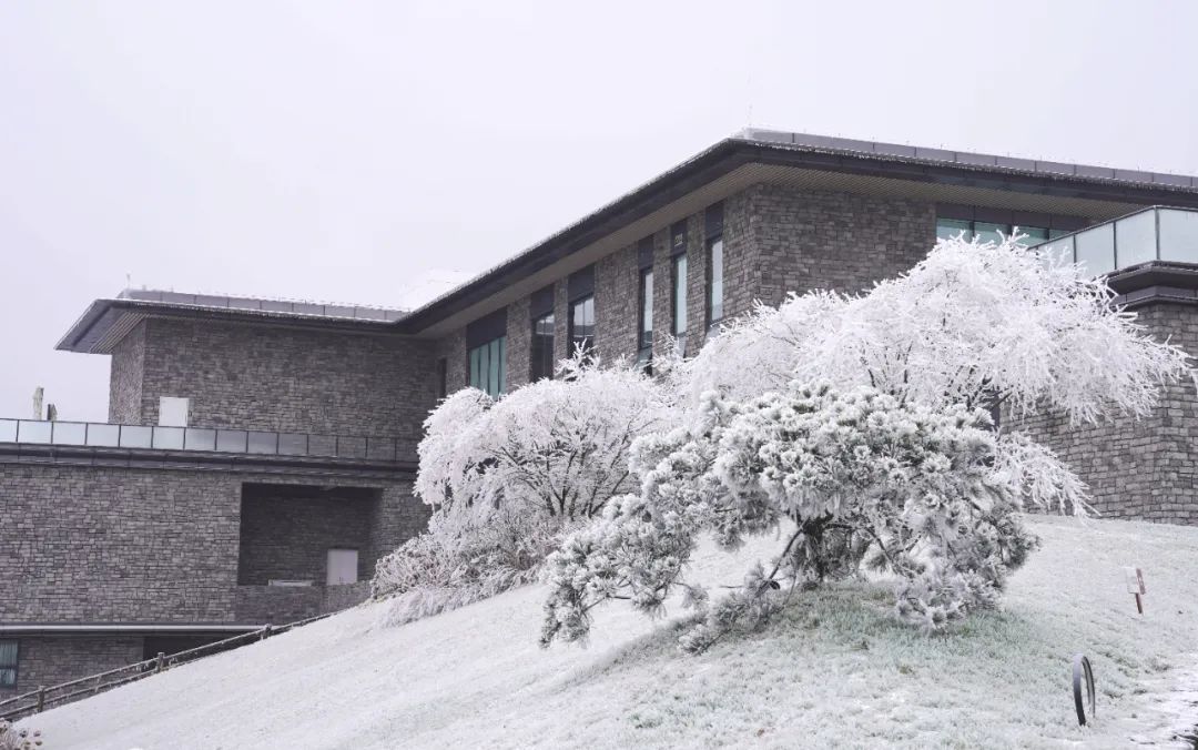 泸州这个地方连下了3天雪！看看这雪下的多大...多美！-8.jpg