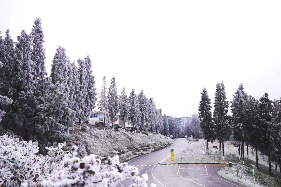 泸州这个地方连下了3天雪！看看这雪下的多大...多美！-7.jpg