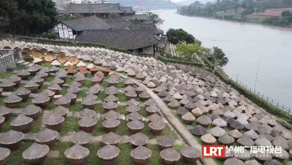 预计年产值30亿元至50亿元！泸州这一省重点项目有新进展！-5.jpg