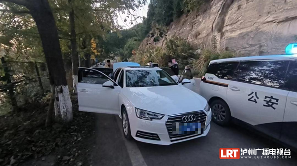 用奥迪当“掩护” 年底3名男子靠盗窃“冲业绩”-1.png