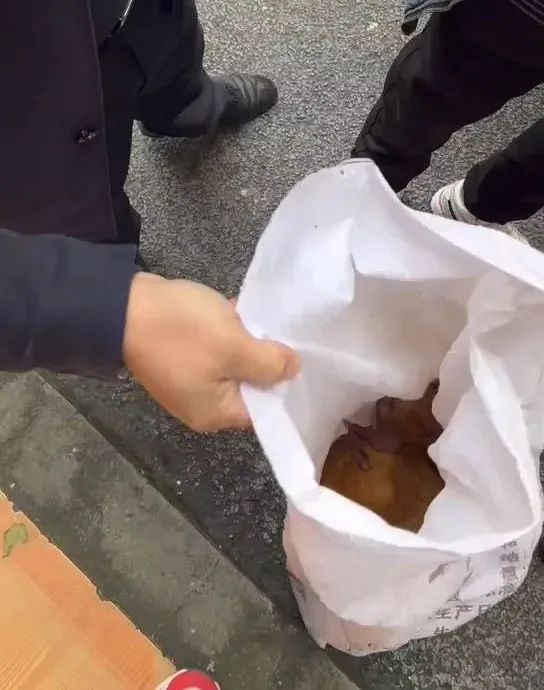 土鸡哪里来的？别人屋头拿起来的！-4.jpeg