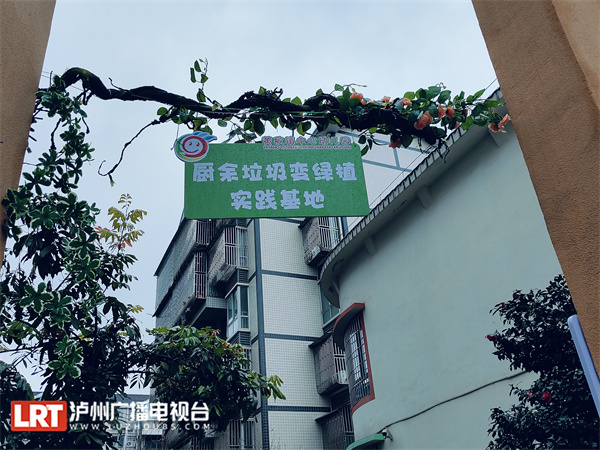 厨余垃圾变绿植 争做环保小卫士-2.jpeg