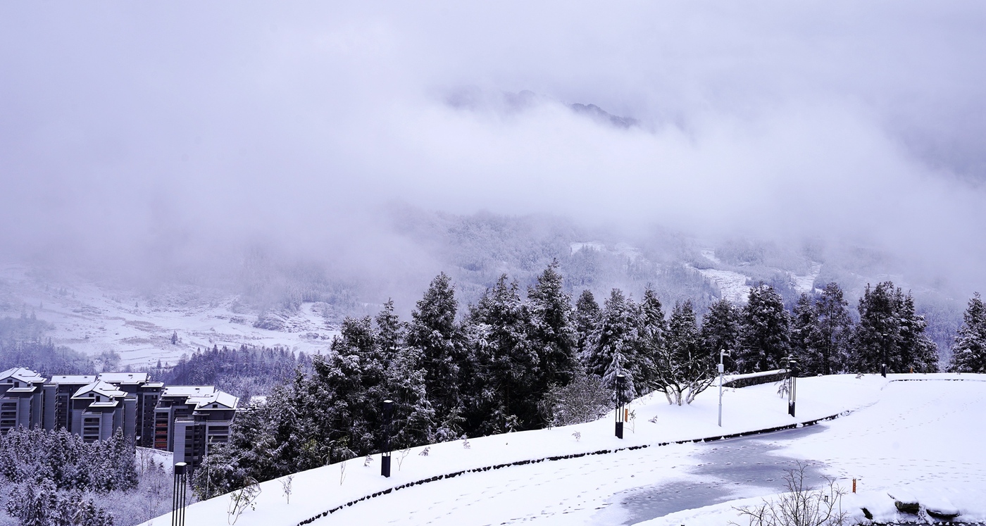 银装素裹！罗汉林迎来2024年第一场大雪-1.jpg