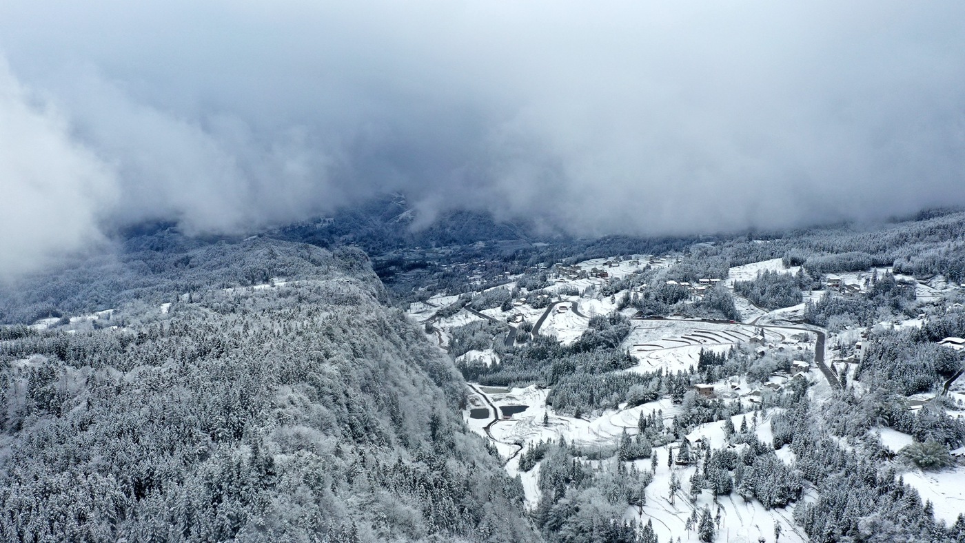 银装素裹！罗汉林迎来2024年第一场大雪-3.jpg