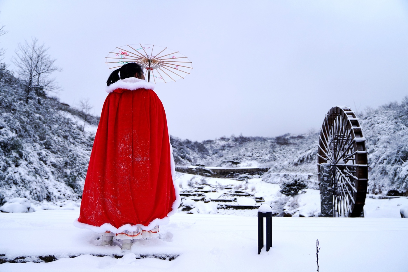 银装素裹！罗汉林迎来2024年第一场大雪-4.jpg