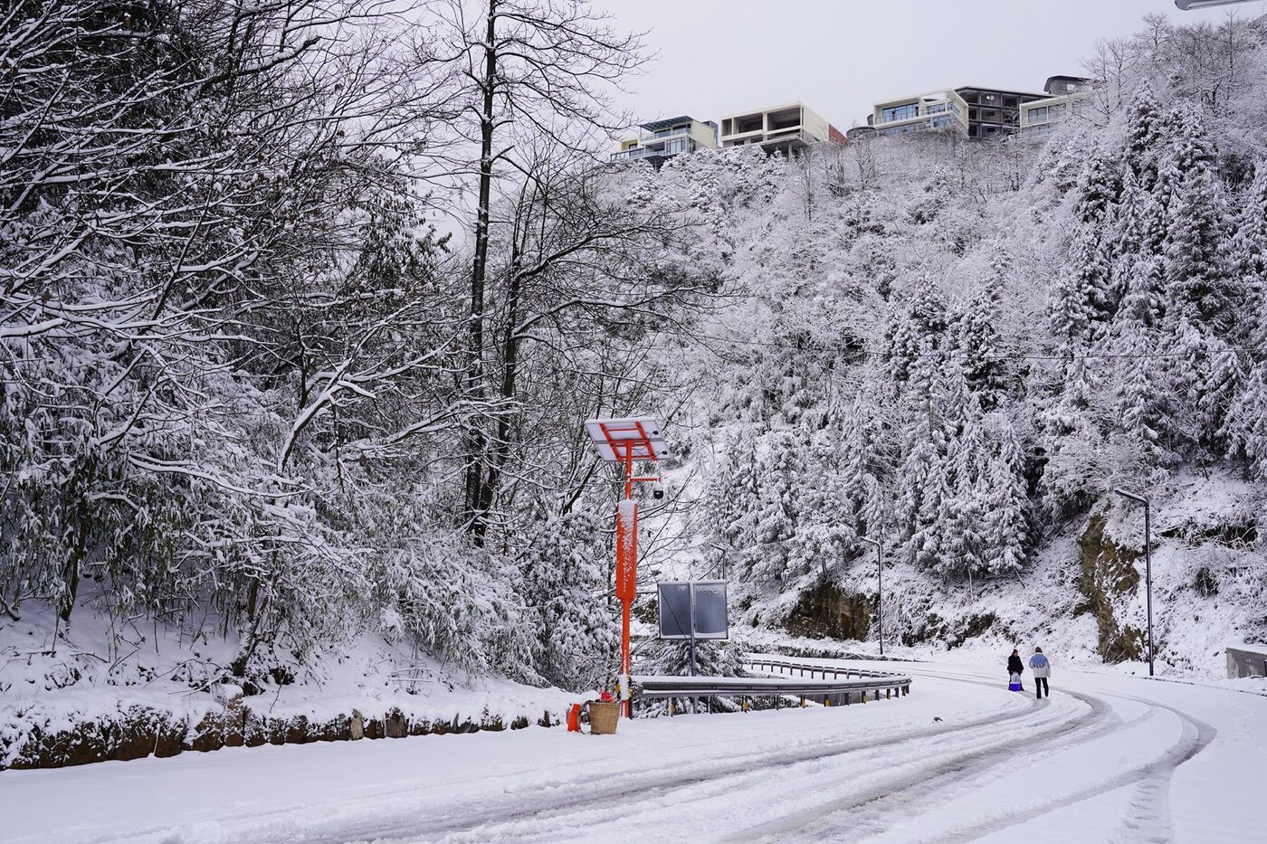 银装素裹！罗汉林迎来2024年第一场大雪-5.jpg