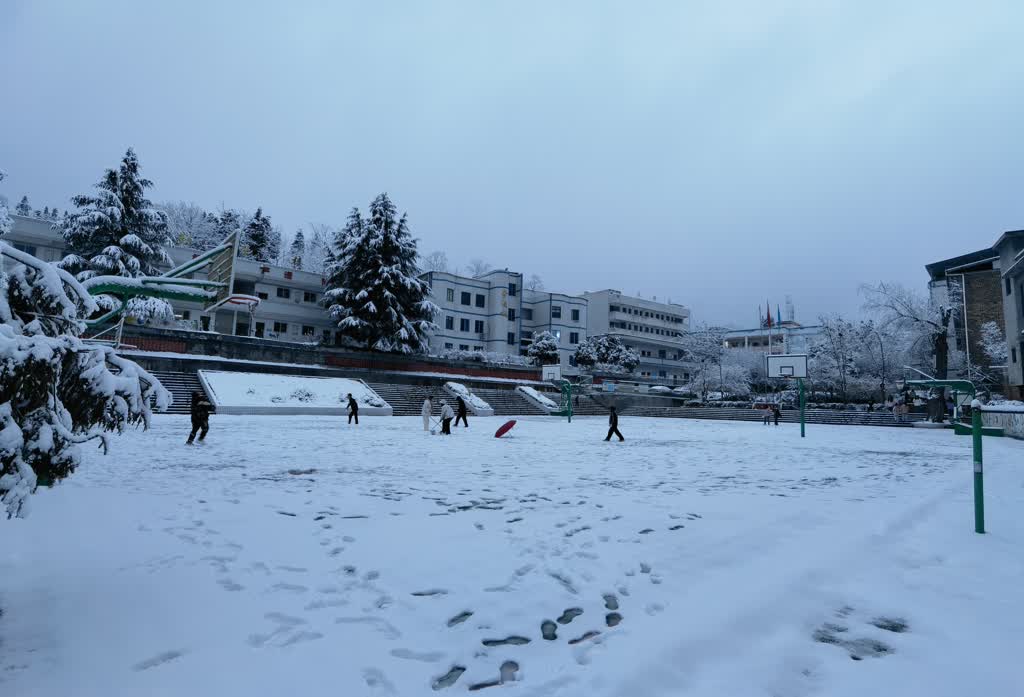 “冻”真格了！泸州迎来今年第一场雪-2.jpeg