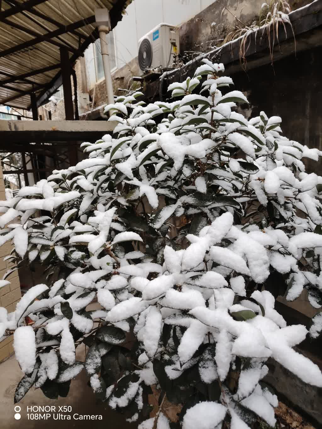 “冻”真格了！泸州迎来今年第一场雪-5.jpeg