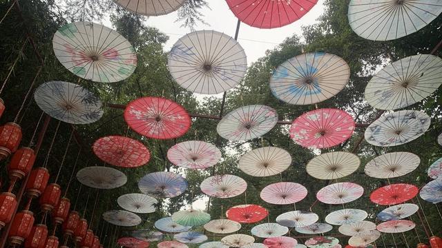 酒城新春氛围感拉满 200万盆花卉、近9000个灯笼扮靓四川泸州-4.jpg