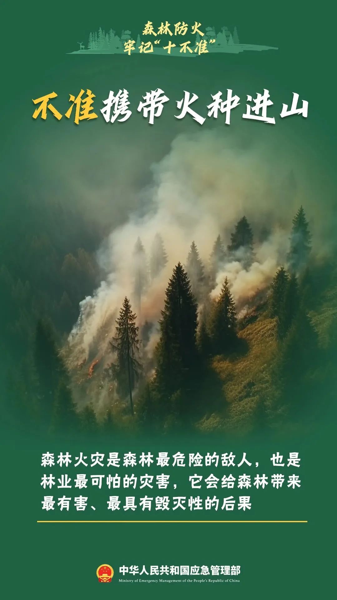 违规野外用火要遭起！四川公布4起被处罚典型案例-8.jpeg