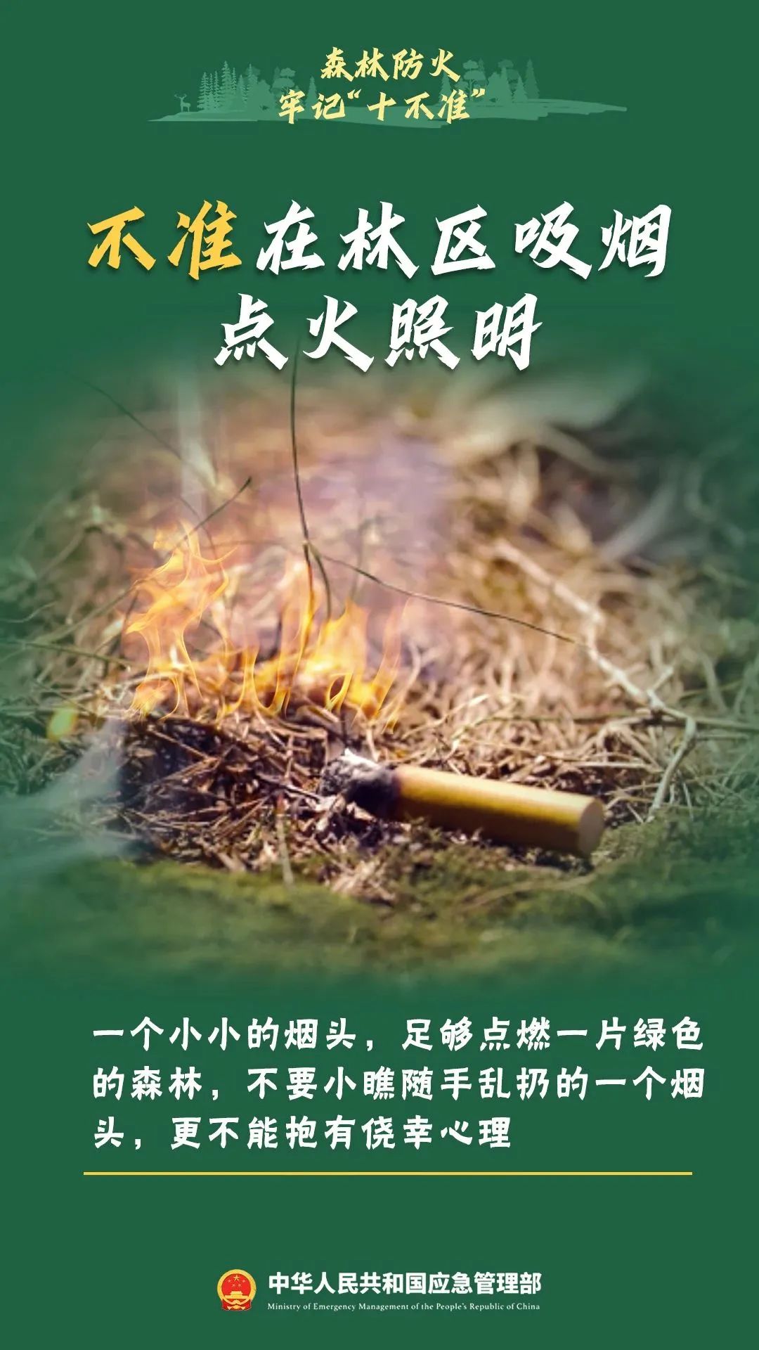 违规野外用火要遭起！四川公布4起被处罚典型案例-10.jpeg