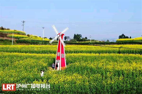 上万亩油菜花迎春盛开 乡村美景如画来-2.png