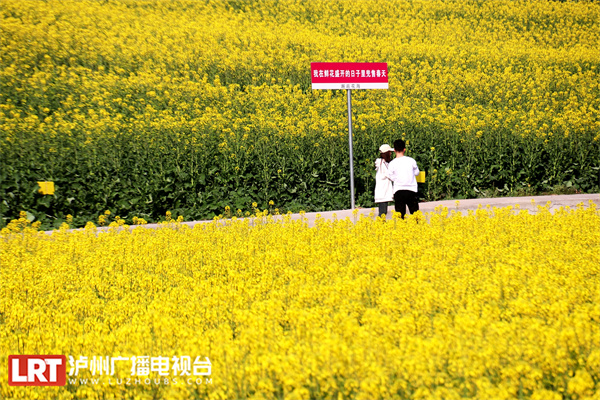 上万亩油菜花迎春盛开 乡村美景如画来-3.jpg