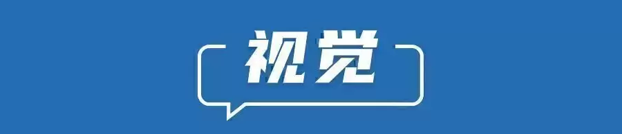 d9.webp