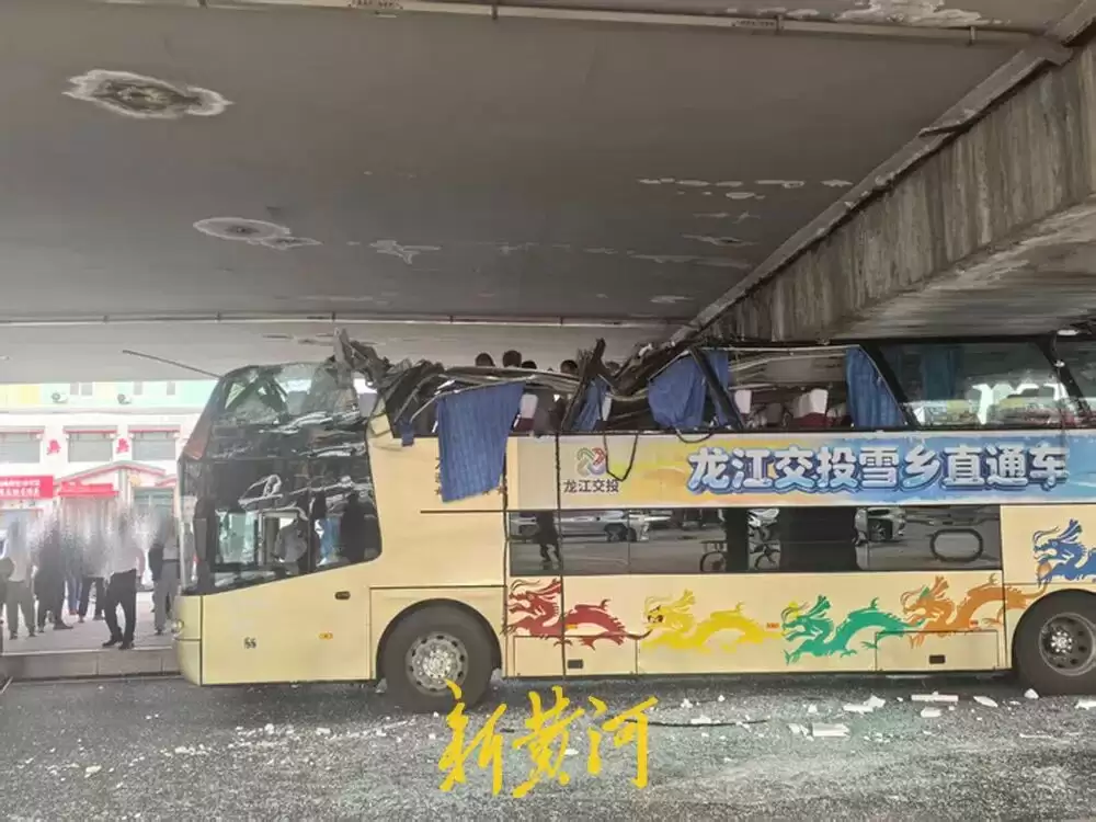 d1.jpg